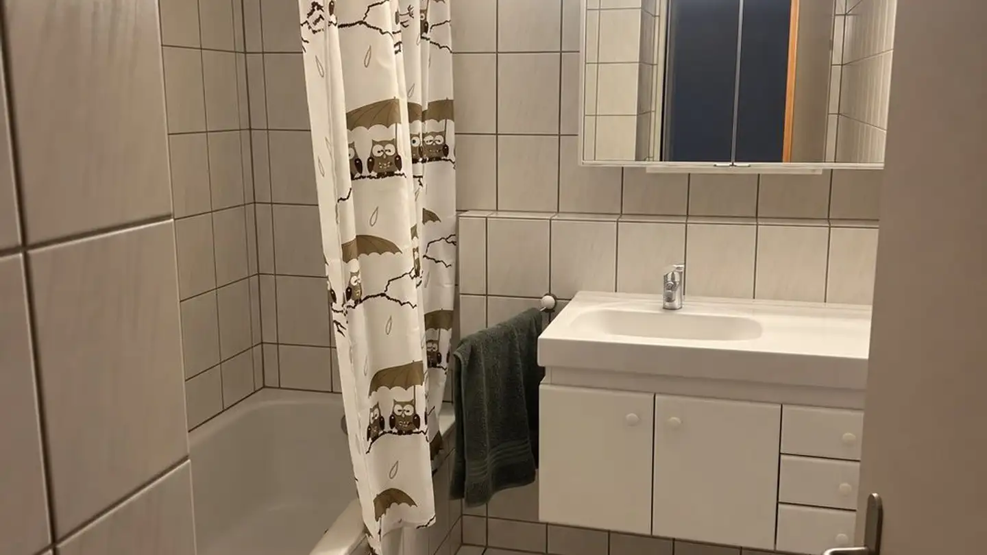 Appartamento in affitto - Birkenstrasse 10, 6003 Luzern - Foto 2