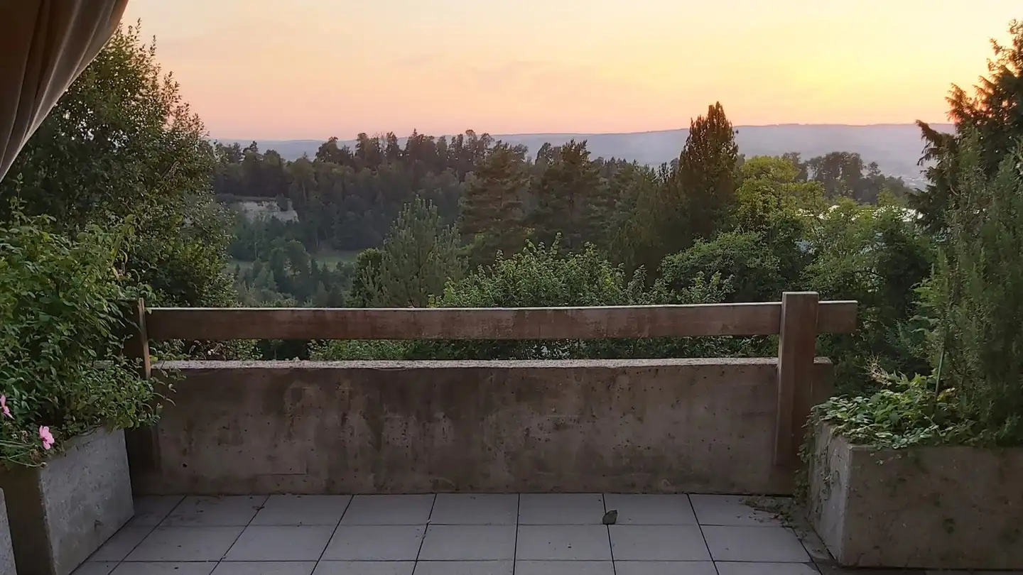 Appartement à louer - 6313 Edlibach - Photo 2