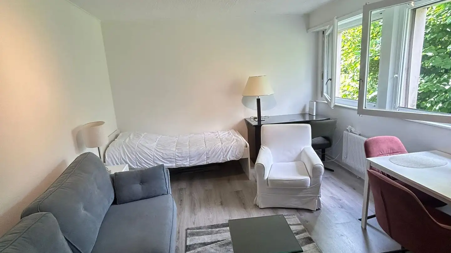 Studio in vendita - 1815 Clarens - Photo 3