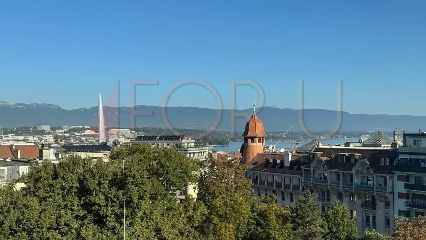 Appartamento in affitto - Rue Henri- Mussard, 1208 Genève