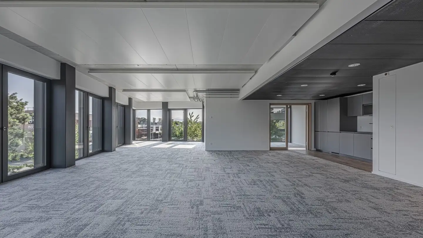 Commercial for rent - Hohenrainstrasse 24, 4133 Pratteln