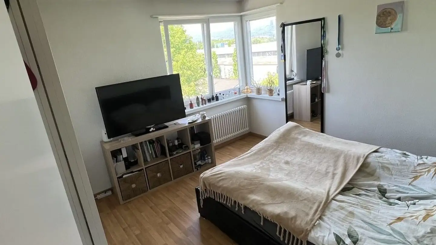 Appartamento in affitto - Hallwilstrasse 24, 5600 Lenzburg - Foto 3