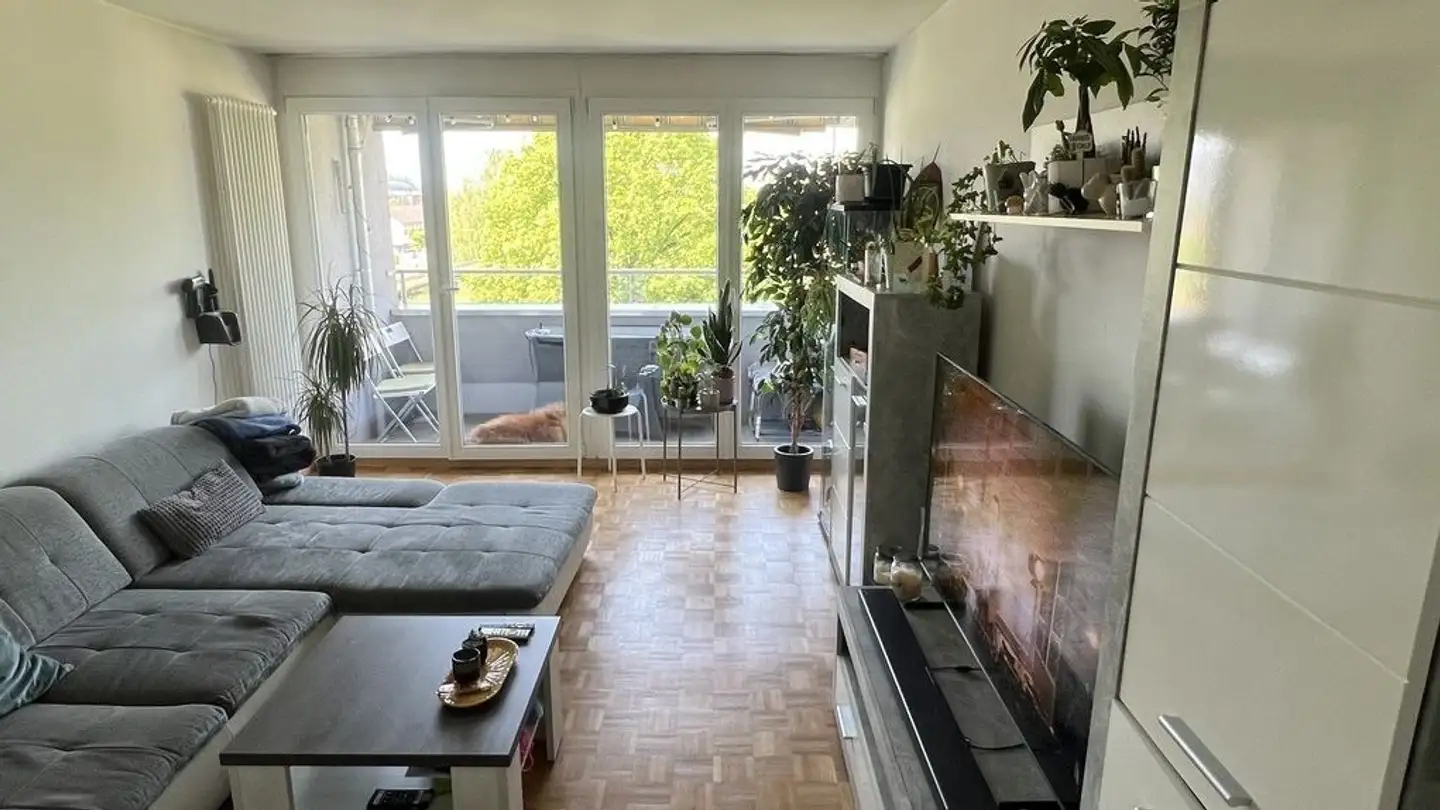 Appartamento in affitto - Hallwilstrasse 24, 5600 Lenzburg