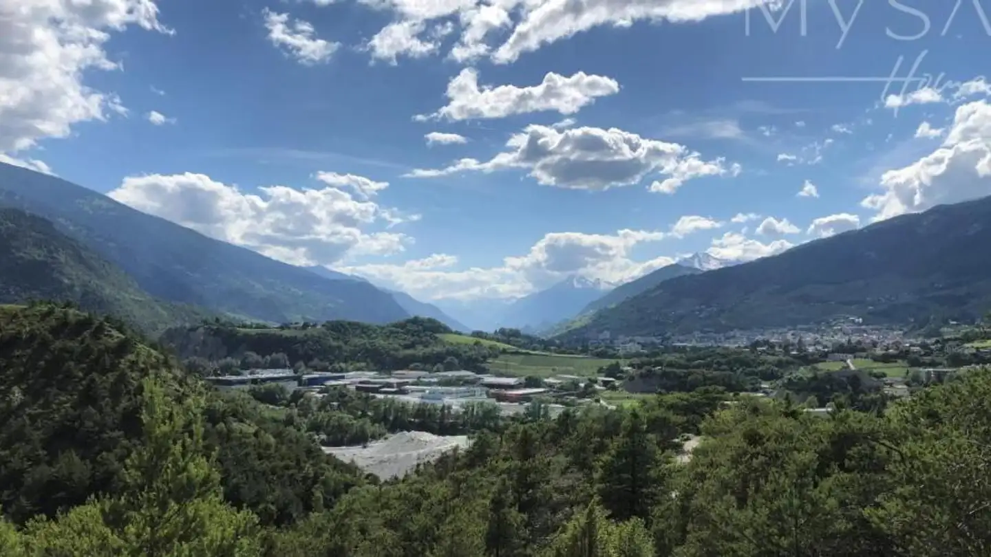 Commercial for sale - 3960 Sierre - Photo 2