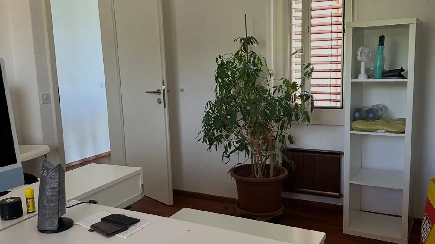 Apartment for rent - 8903 Birmensdorf ZH - Photo 2