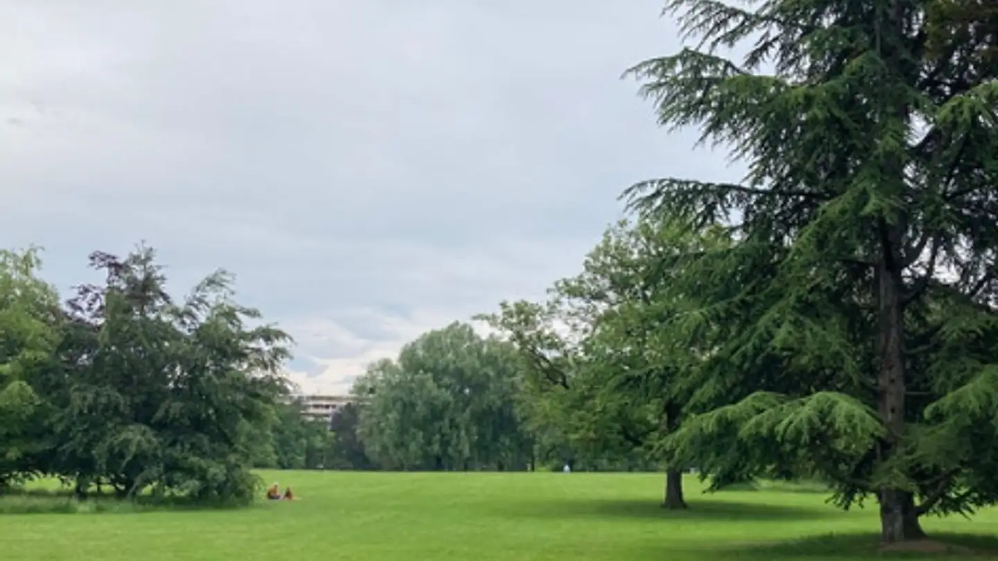 Appartamento in vendita - 1208 Genève