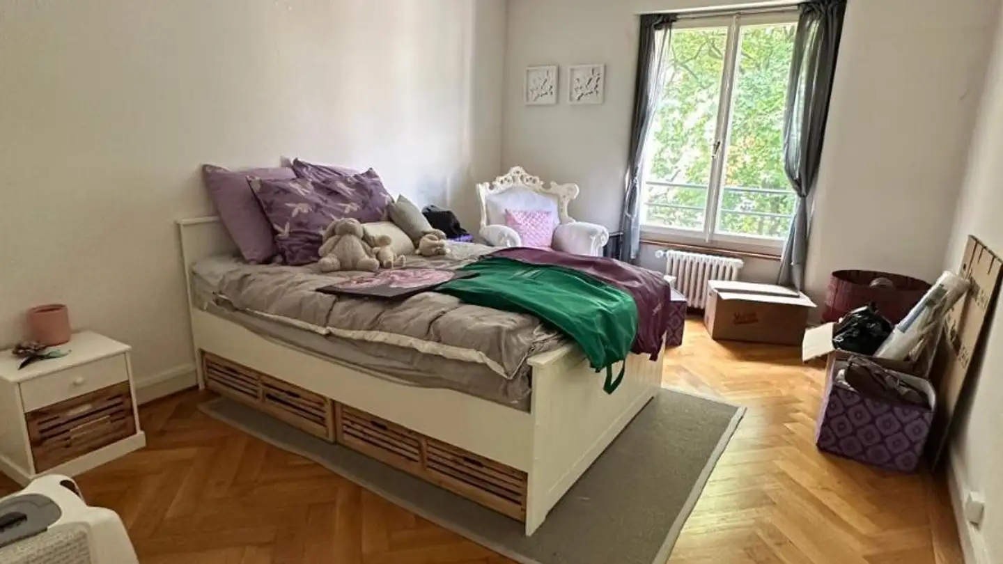 Appartamento in affitto - Rue Antoine-Carteret 3, 1202 Genève - Foto 4