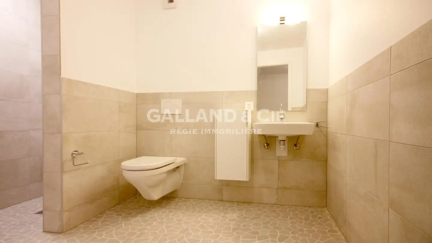 Appartamento in affitto - Champ-De-Lune, 1470 Estavayer-le-Lac - Foto 3