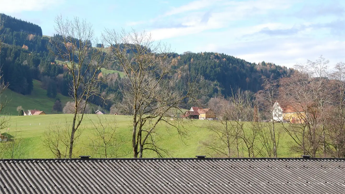 Wohnung mieten - Weissbadstrasse 90, 9050 Appenzell Steinegg - Foto 3