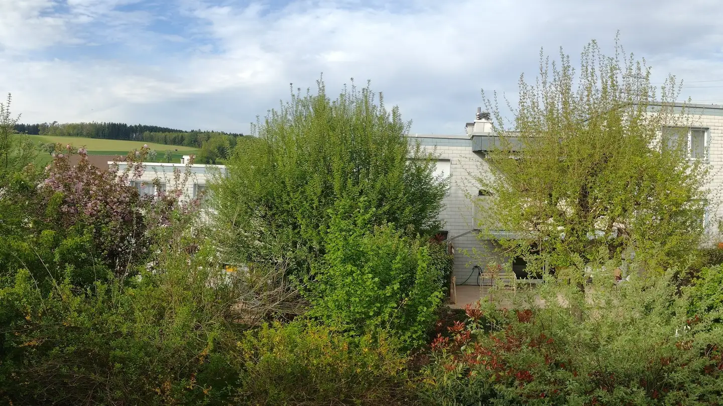 Apartment for rent - 8905 Arni AG - Photo 3