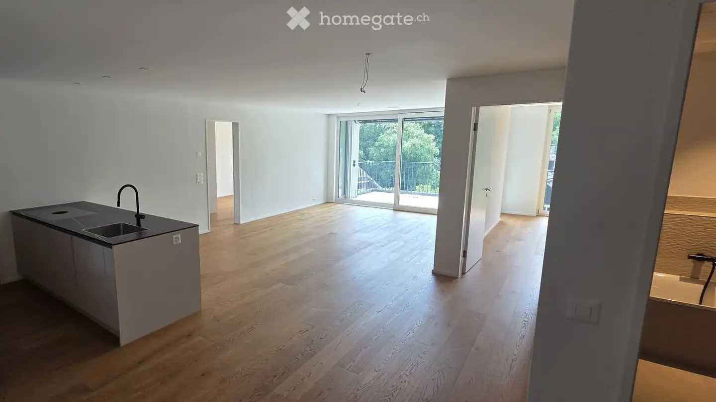 Appartamento in affitto - Holderbachweg 27, 8046 Zürich