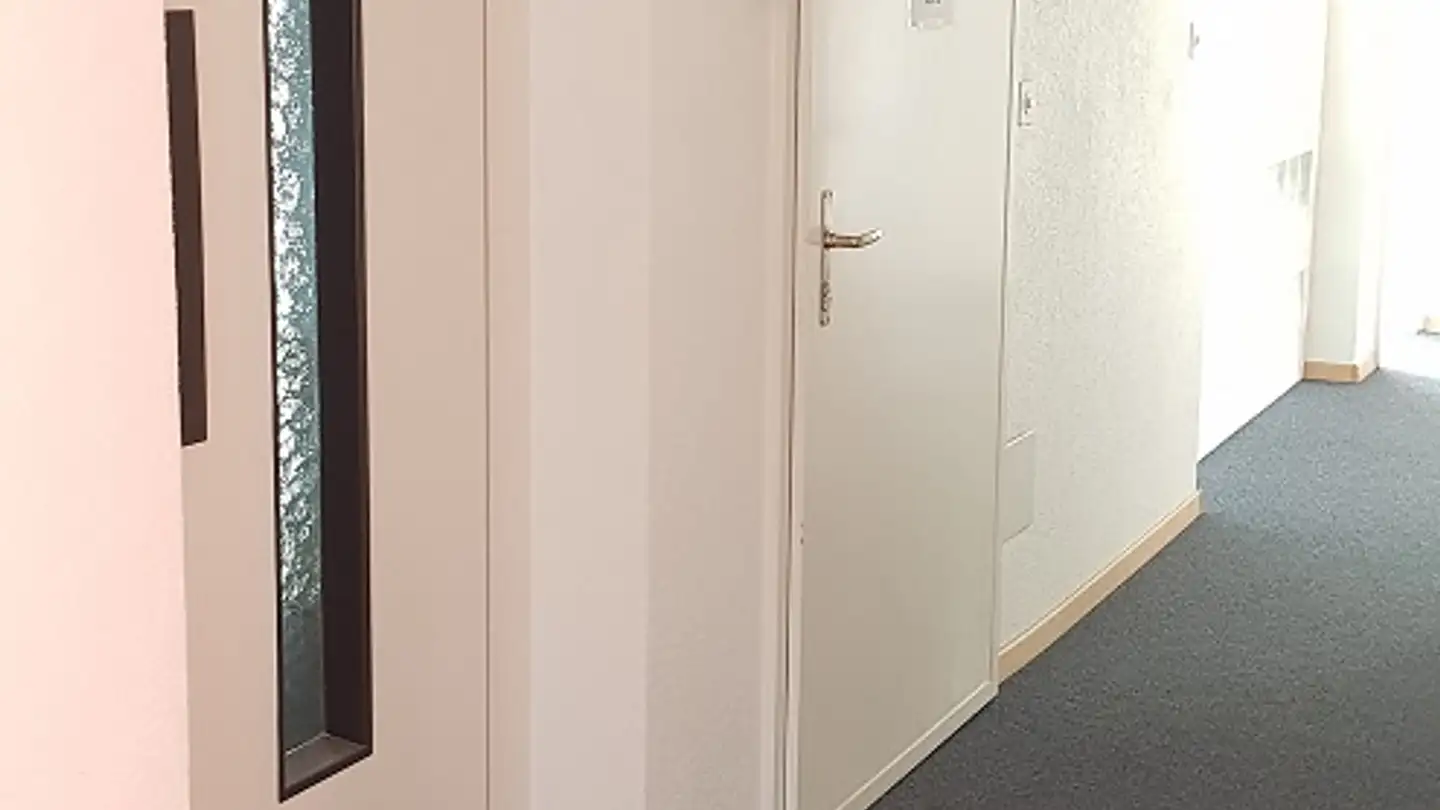 Commercial for rent - Rue De La Molière 19, 2800 Delémont - Photo 4