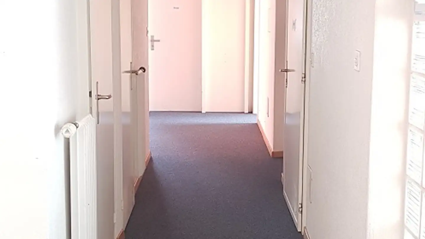 Commercial for rent - Rue De La Molière 19, 2800 Delémont - Photo 2