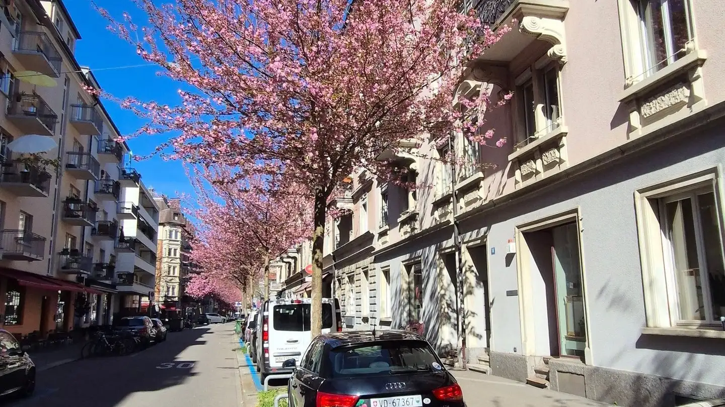 Appartement à louer - Gasometerstrasse 14, 8005 Zürich