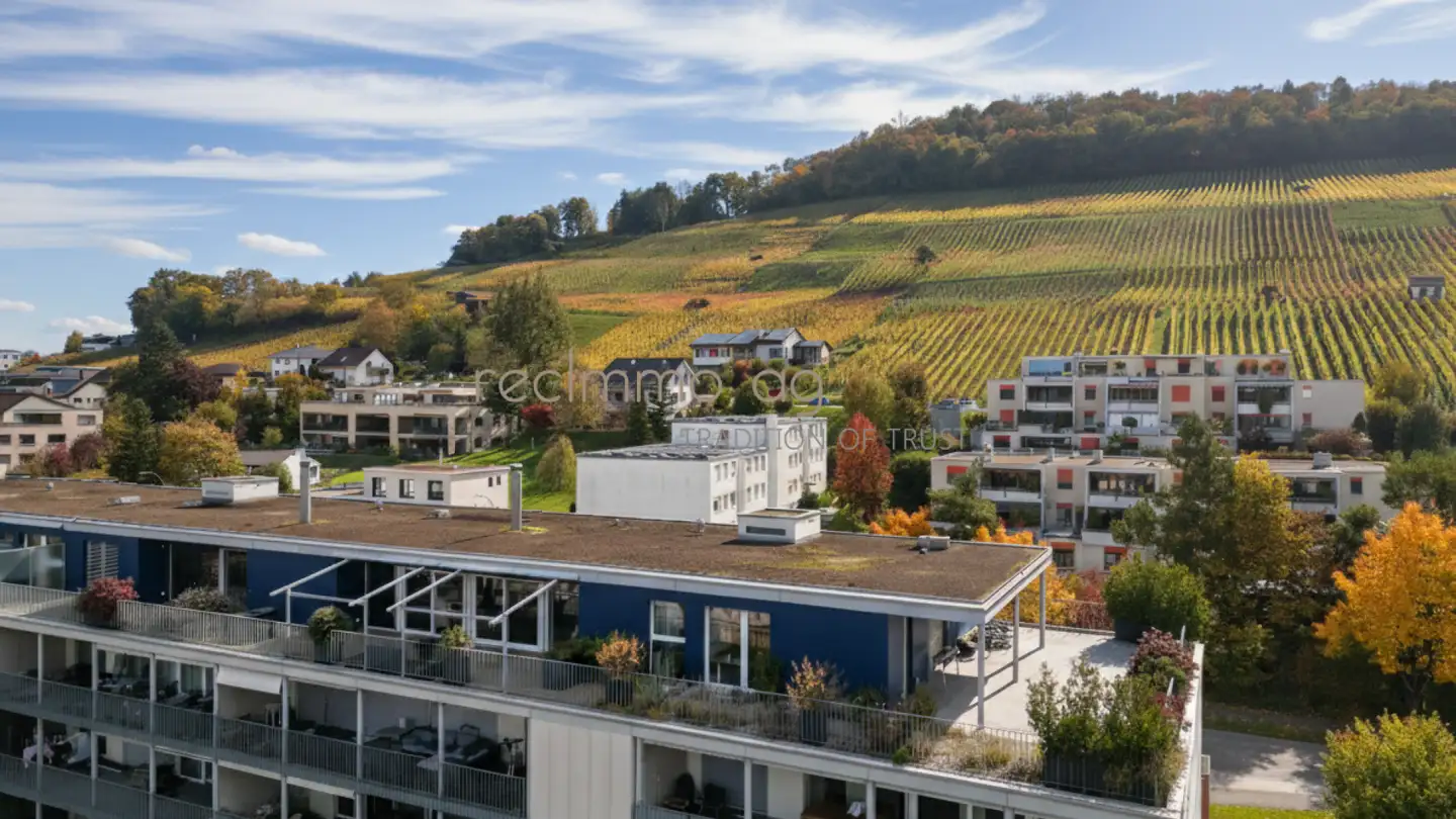 Apartment for sale - Surbtalstrasse, 5304 Endingen