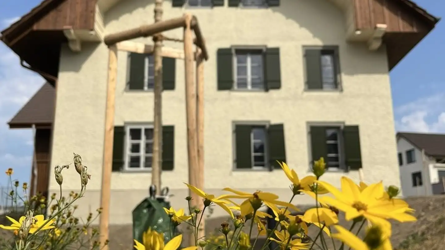 Appartamento in affitto - Seengerstrasse 12, 5704 Egliswil