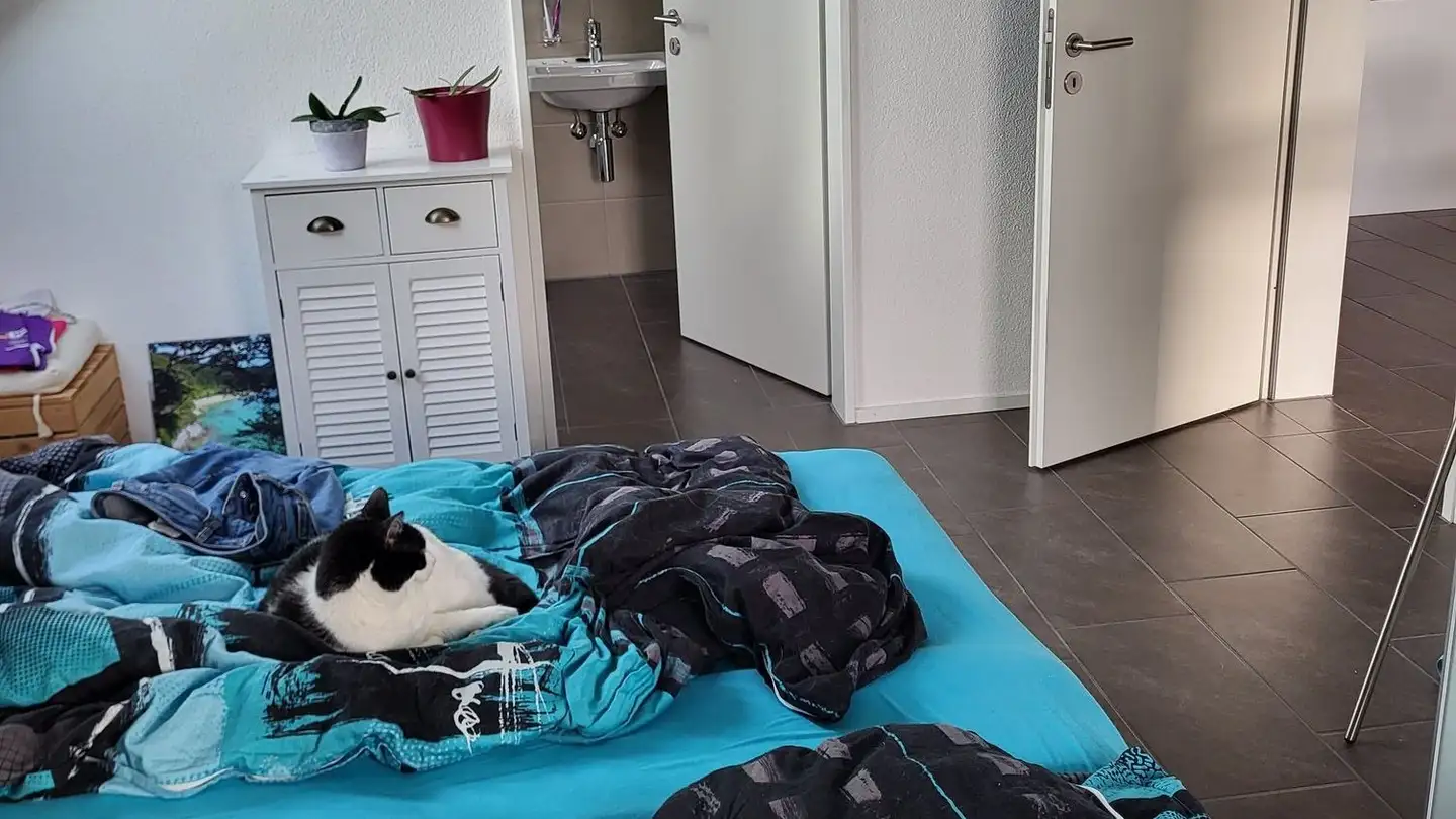 Attico in affitto - Pfalzstrasse 41, 5106 Veltheim AG - Foto 4