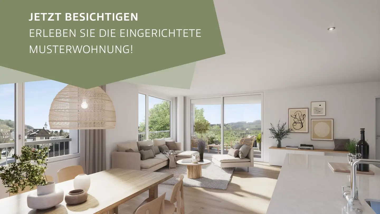 Appartamento in vendita - Murhubelstrasse, 6234 Triengen