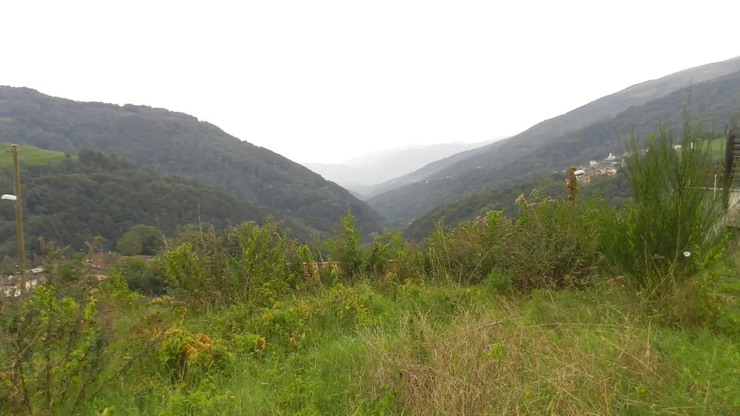 Constructible plot for sale - Strada De Bögn, 6951 Bogno - Photo 3