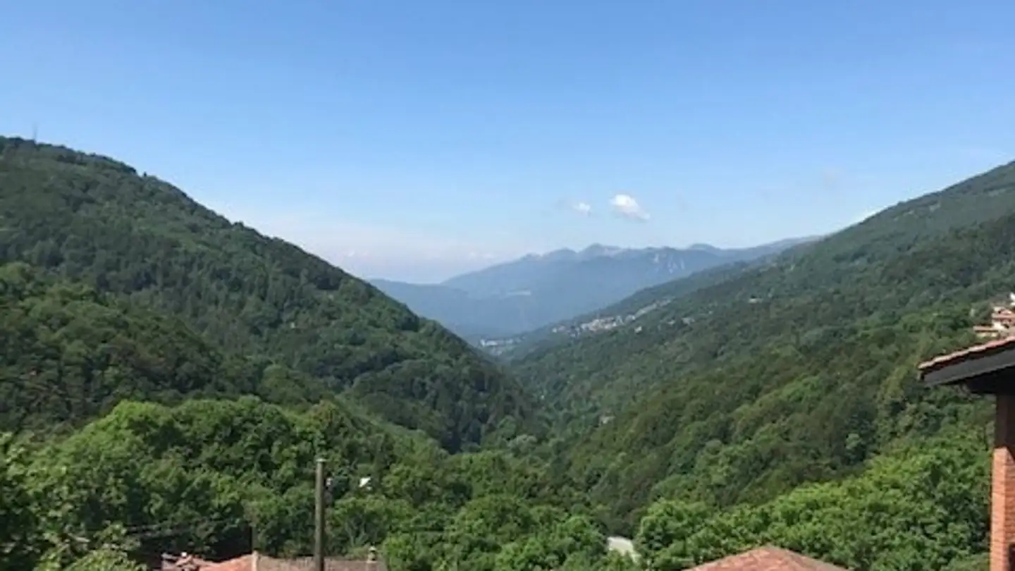 Constructible plot for sale - Strada De Bögn, 6951 Bogno - Photo 4