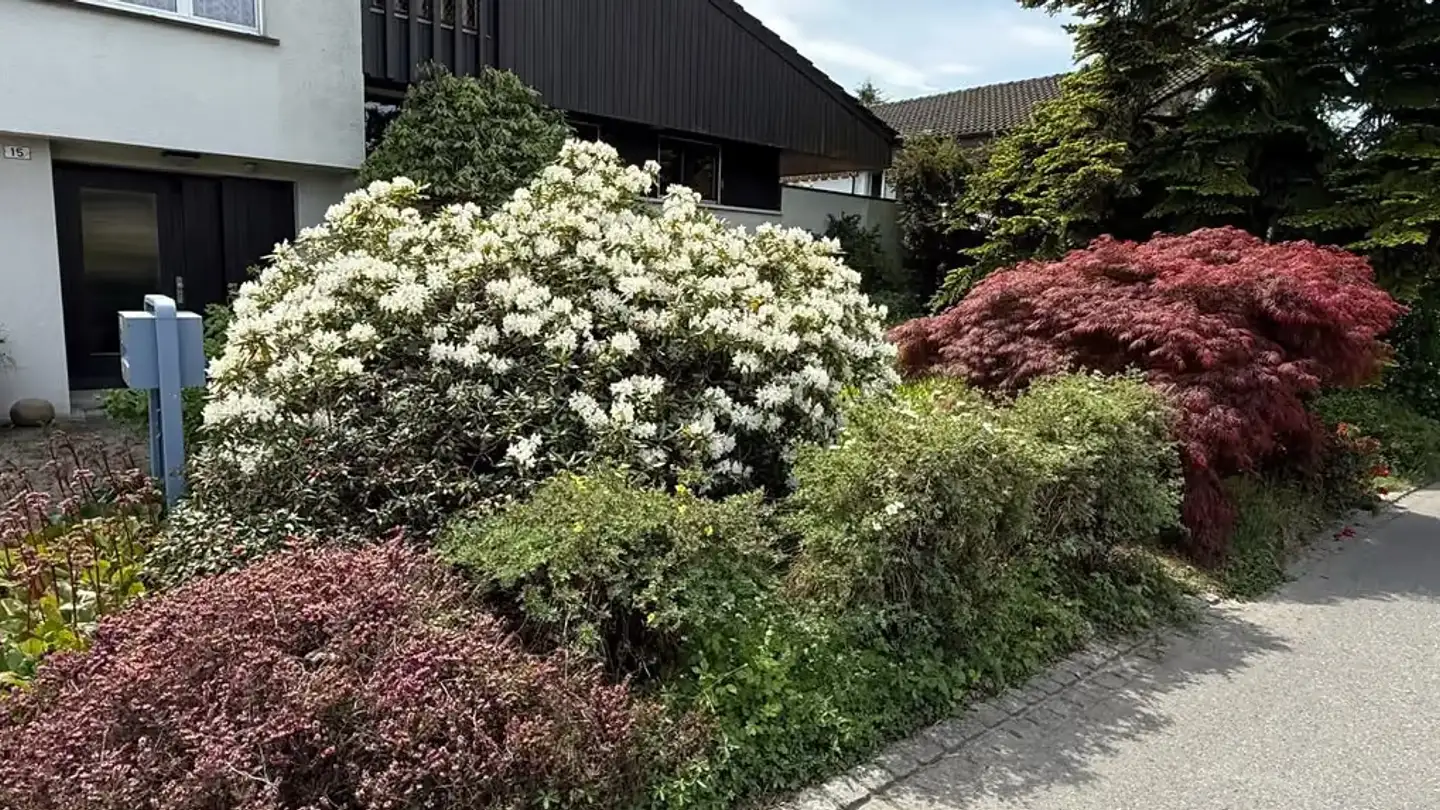 Casa singola in vendita - Zinggenstrasse 15, 9443 Widnau - Foto 4