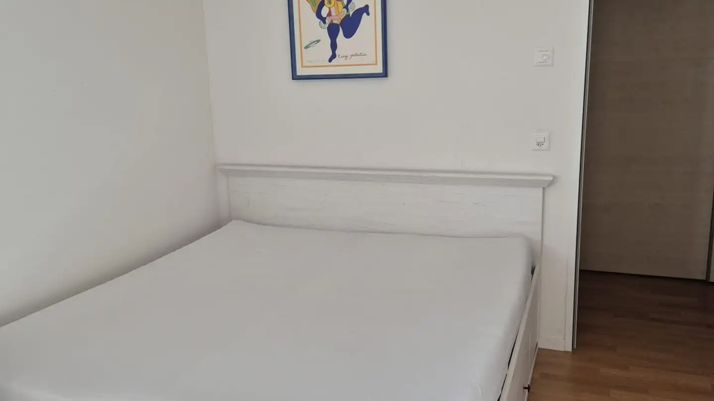 Appartamento ammobiliato in affitto - Genossenschaftsstrasse 16, 8050 Zürich - Foto 2