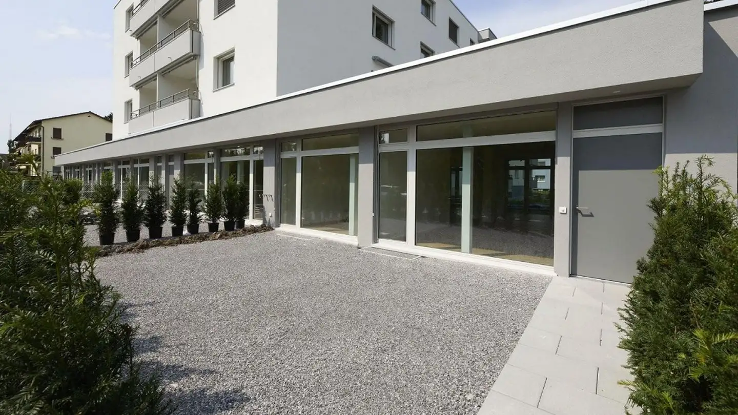 Loft à louer - Luegislandstrasse 265, 8051 Zürich