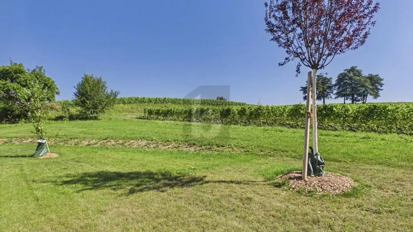 Casa grotta in affitto - 1242 Satigny