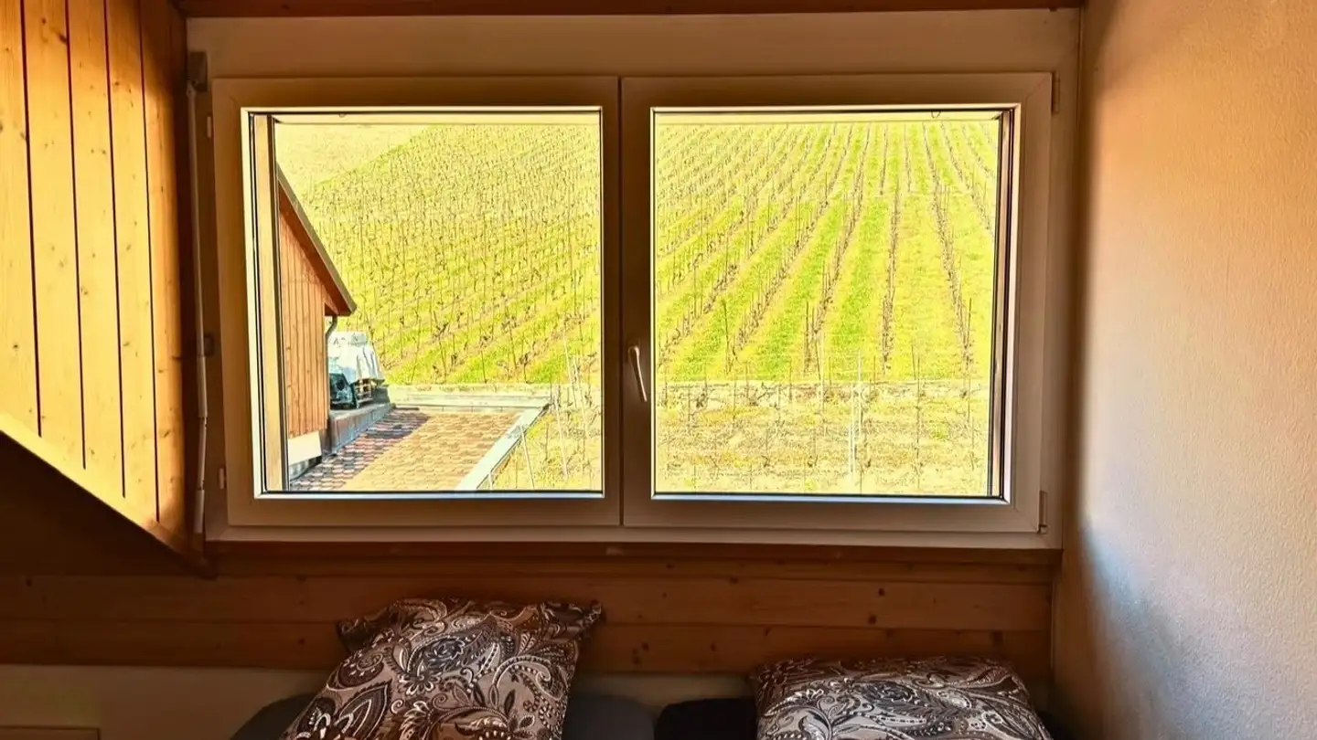 Single room for rent - En Bons Voisins 24, 1071 Rivaz - Photo 3