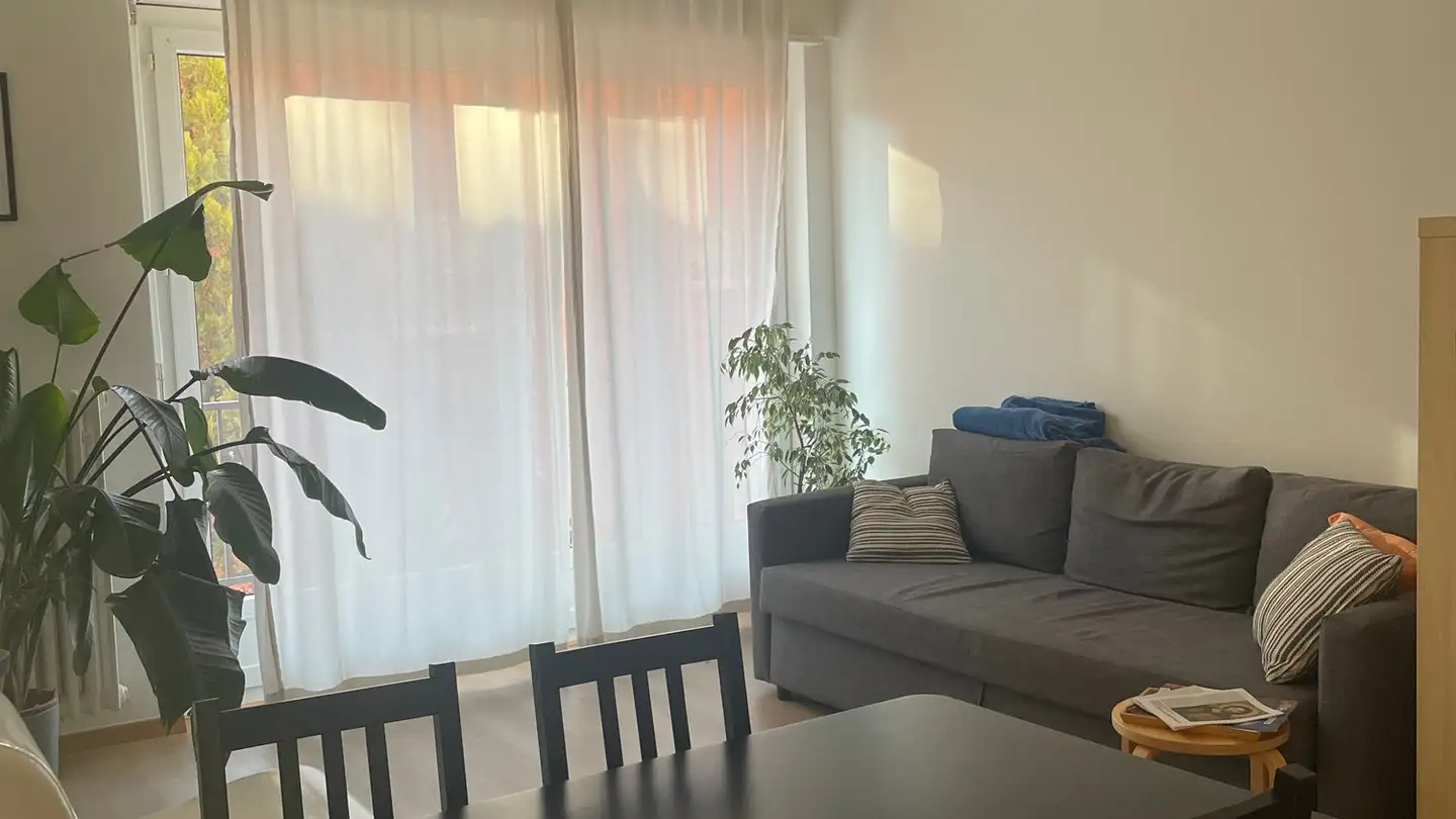 Appartamento in affitto - Via Paolo Torriani 22, 6850 Mendrisio