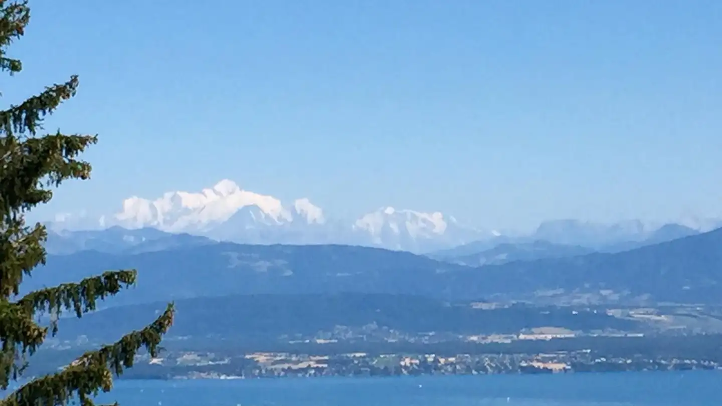 Cave house for sale - Route De Le Muids, 1273 Arzier-Le Muids