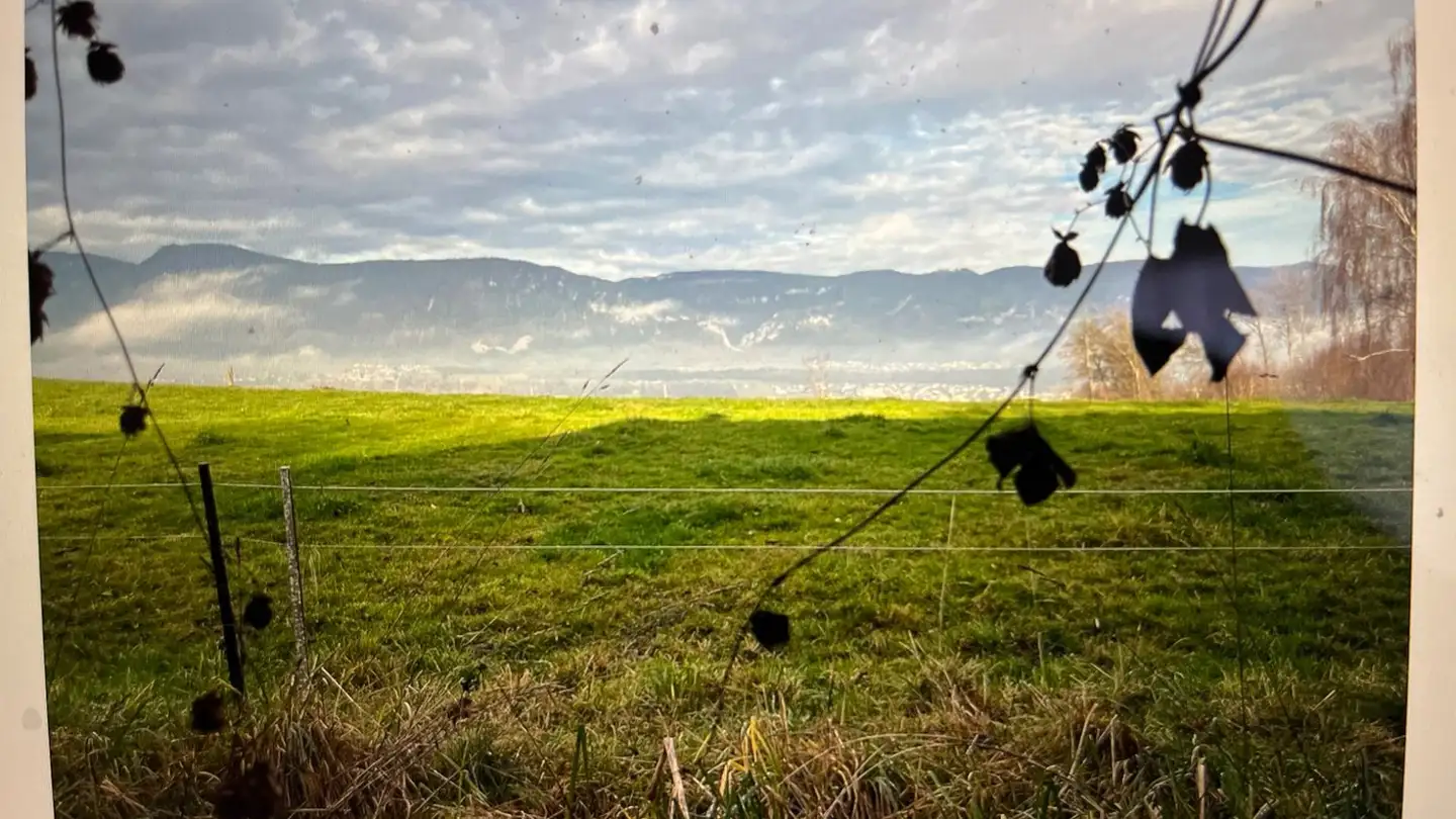 Single house for rent - 4574 Nennigkofen