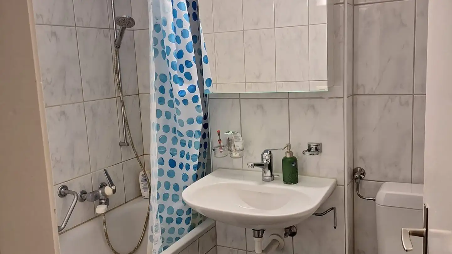 Appartamento in affitto - Hörnlistrasse 62, 8400 Winterthur - Foto 3