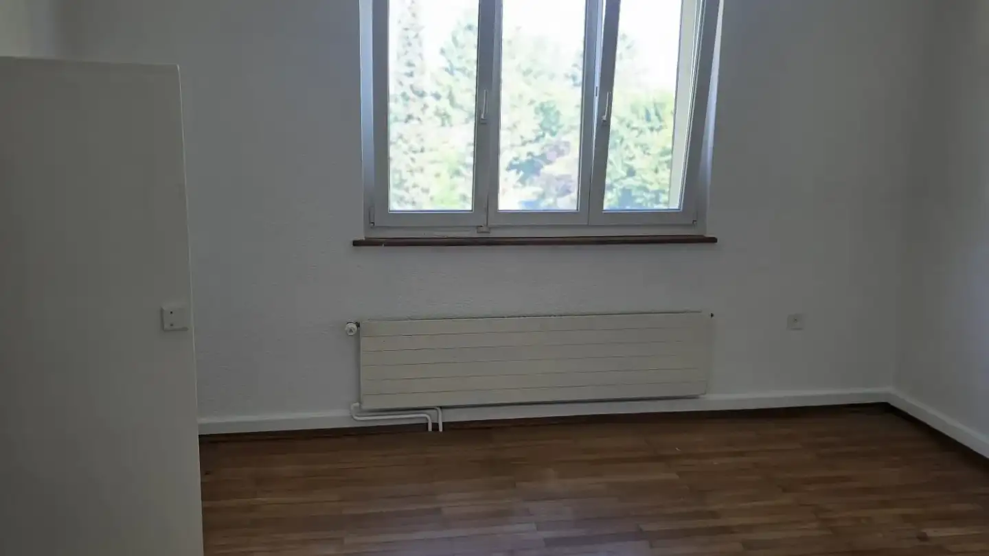 Attic flat for rent - Fehrenstrasse 4, 4227 Büsserach
