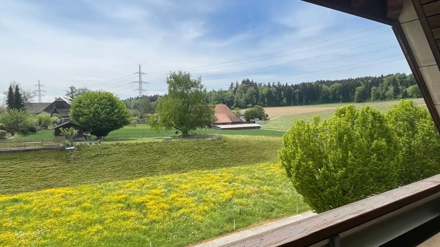 Attique à louer - Steinistrasse 11, 3429 Höchstetten - Photo 2