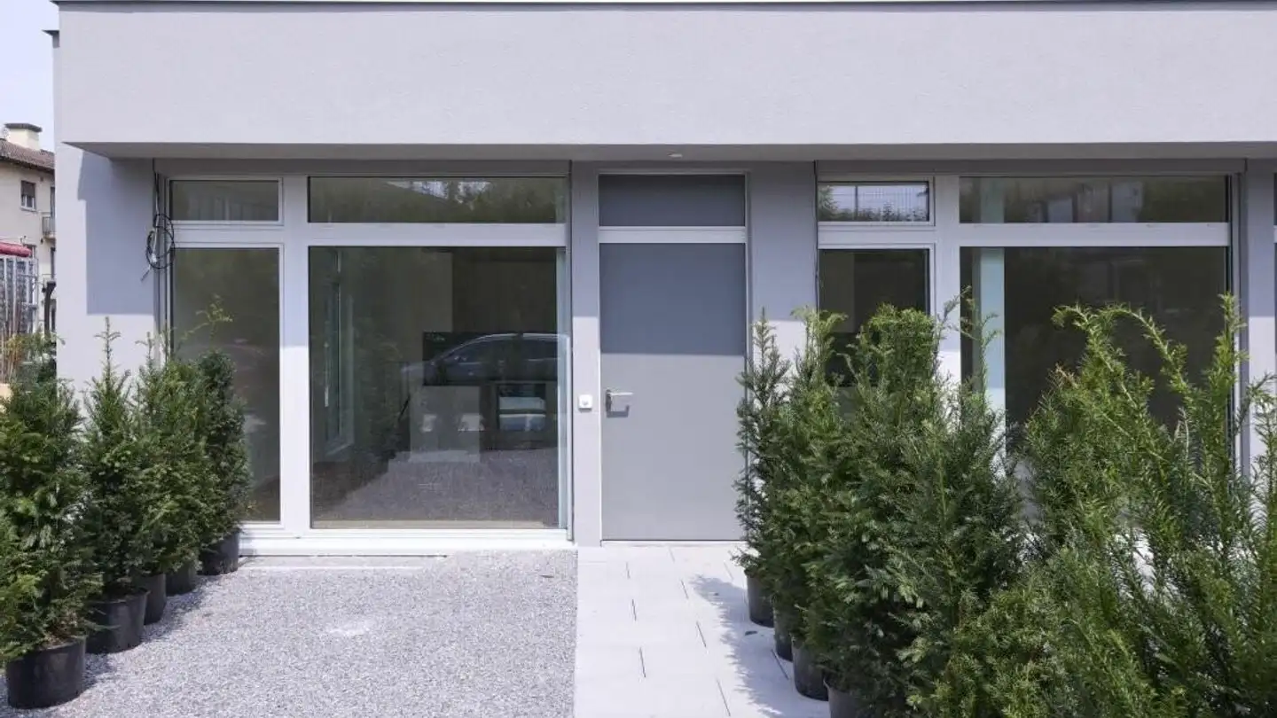 Loft à louer - Luegislandstrasse 265, 8051 Zürich