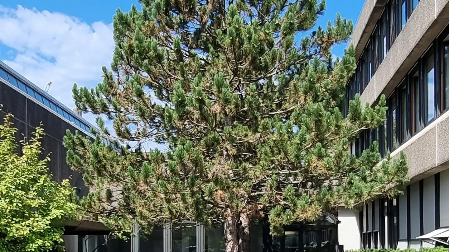 Industrieimmobilie mieten - Büetigenstrasse 80, 2557 Studen BE - Foto 3