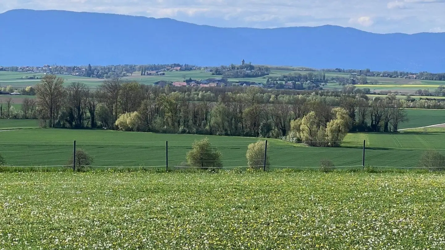 Duplex for rent - 1563 Dompierre FR