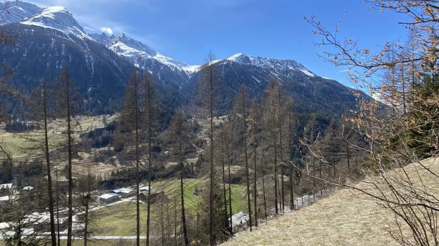Terrain constructible à vendre - 7482 Bergün/Bravuogn - Photo 4
