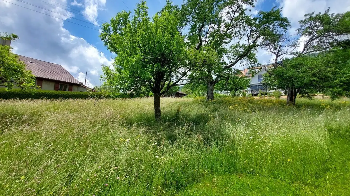 Farm for sale - 1428 Mutrux - Photo 4