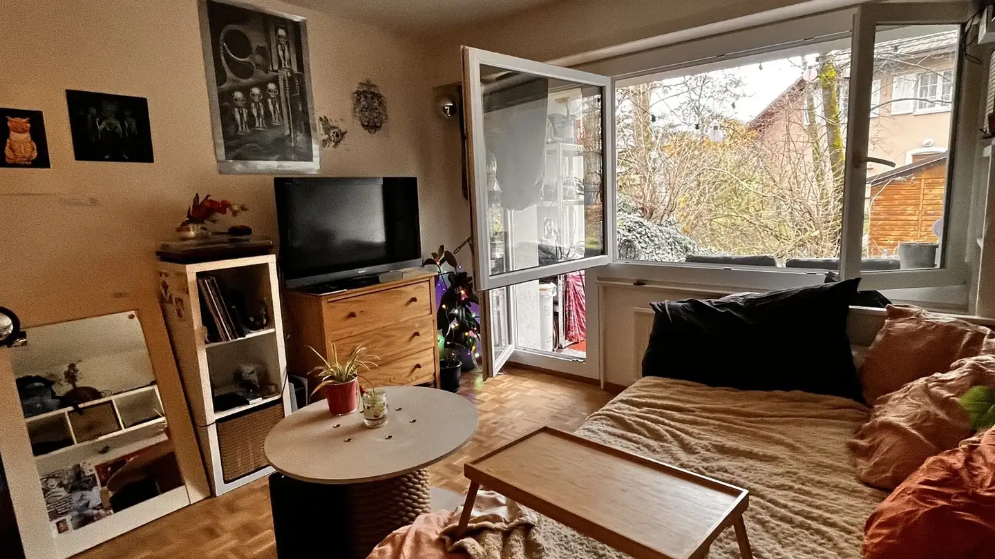 Apartment for rent - Chemin Des Colombaires 67, 1096 Cully