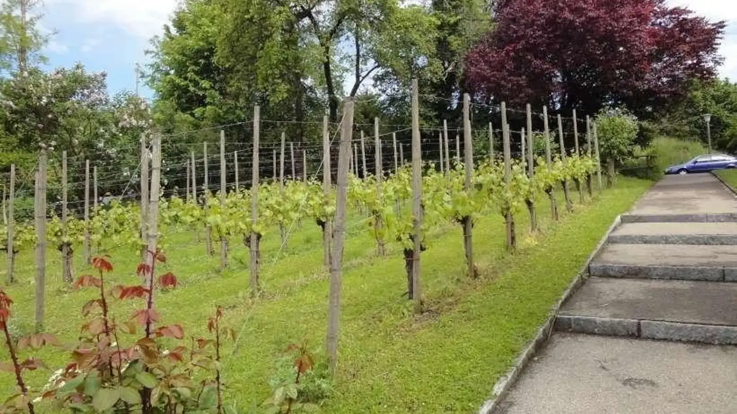 Appartement à louer - Kasernenstrasse 50, 8180 Bülach - Photo 3