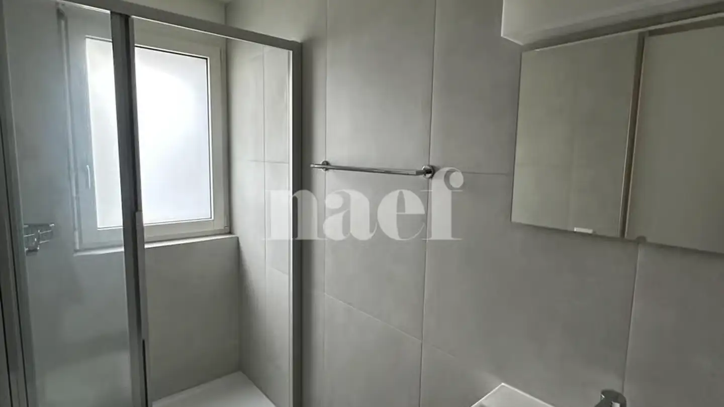 Appartement à louer - Rue Emile-Boéchat 15, 2800 Delémont - Photo 4