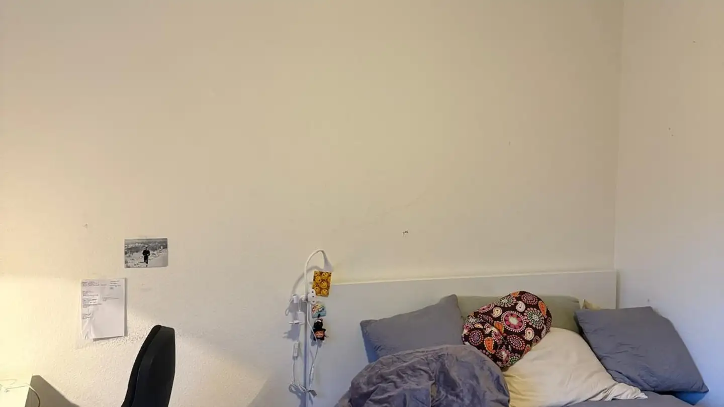 Chambre à louer - Zieglerstrasse 41, 3007 Bern - Photo 2