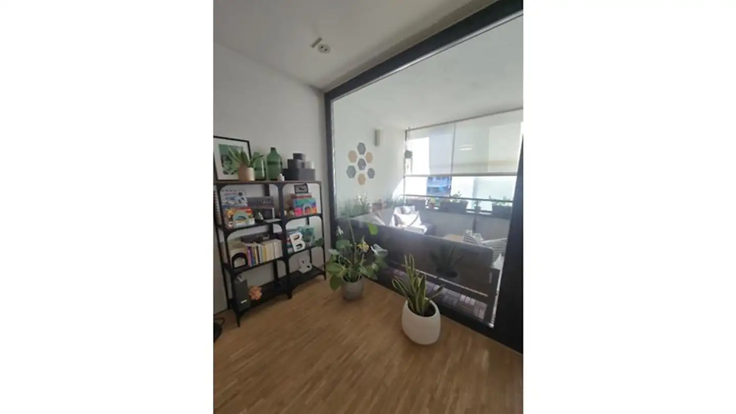 Appartamento ammobiliato in affitto - 8400 Winterthur