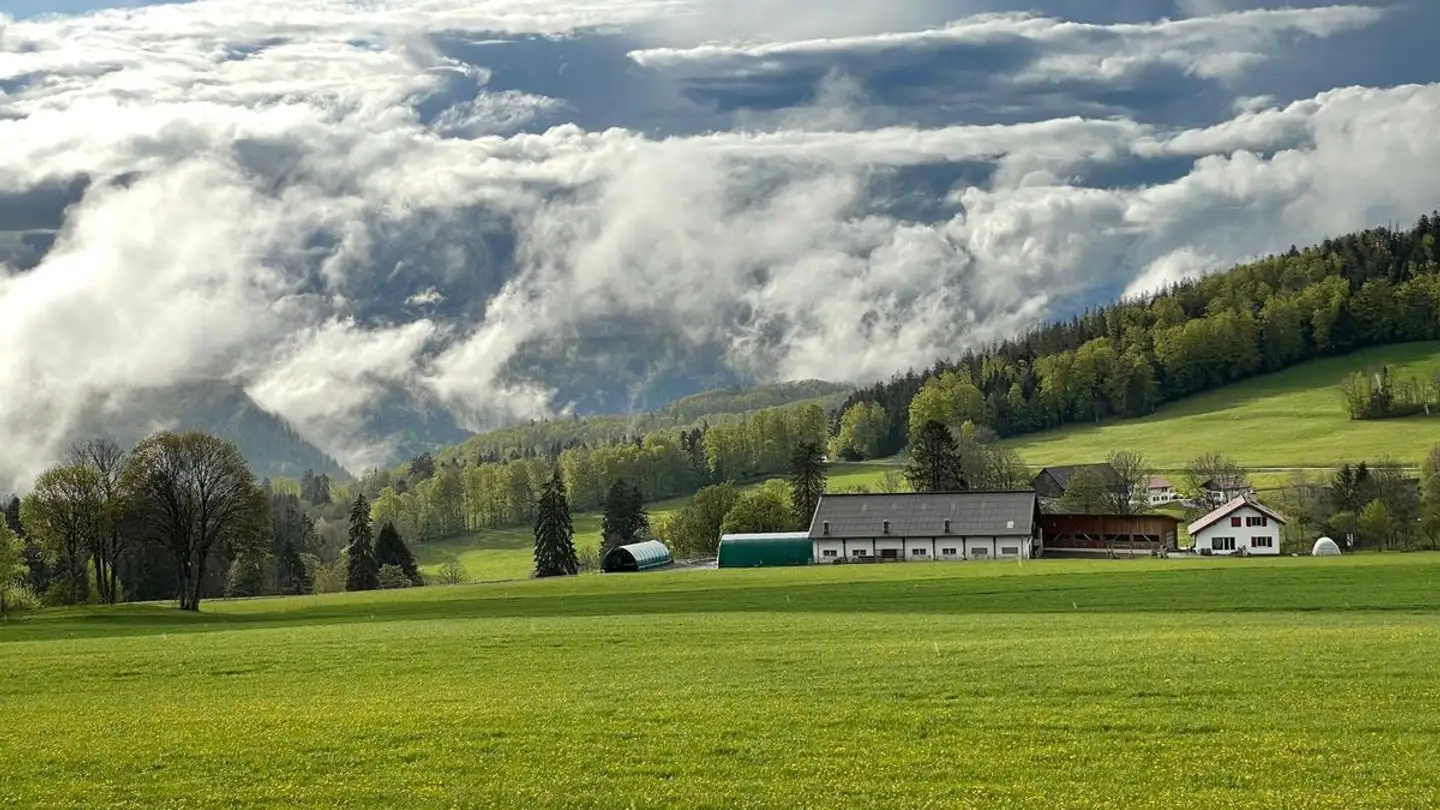 Cave house for sale - 2350 Saignelégier - Photo 2