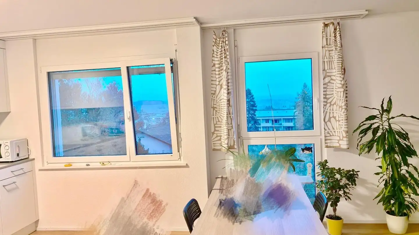 Appartamento in affitto - Holderbachweg 61, 8046 Zürich - Foto 3