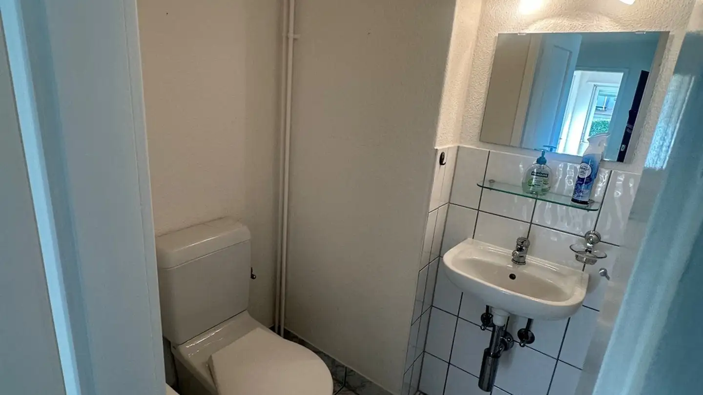 Apartment for rent - Langwattstrasse 17, 8125 Zollikerberg - Photo 3