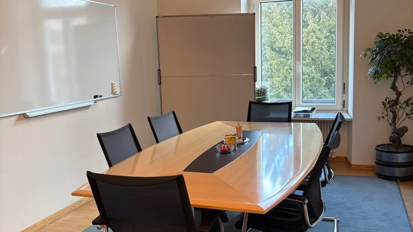 Furnished apartment for rent - Mittelstrasse 18, 8008 Zürich - Photo 3