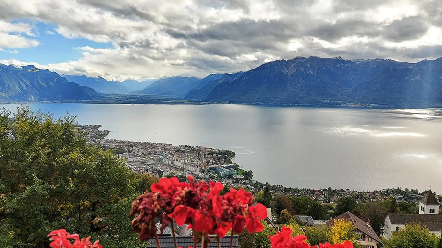Maison individuelle à vendre - 1800 Vevey